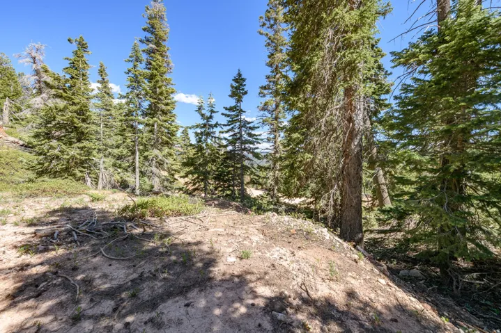 5150 W North Rd, Duck Creek Village, Utah 84762