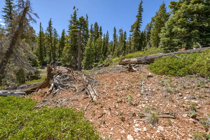 5150 W North Rd, Duck Creek Village, Utah 84762