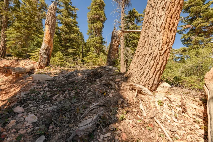 5150 W North Rd, Duck Creek Village, Utah 84762