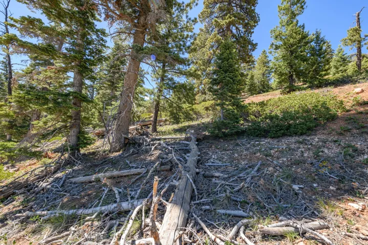5150 W North Rd, Duck Creek Village, Utah 84762