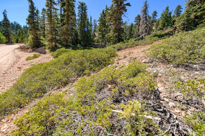 5150 W North Rd, Duck Creek Village, Utah 84762