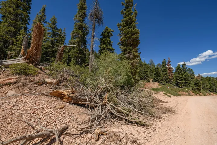 5150 W North Rd, Duck Creek Village, Utah 84762