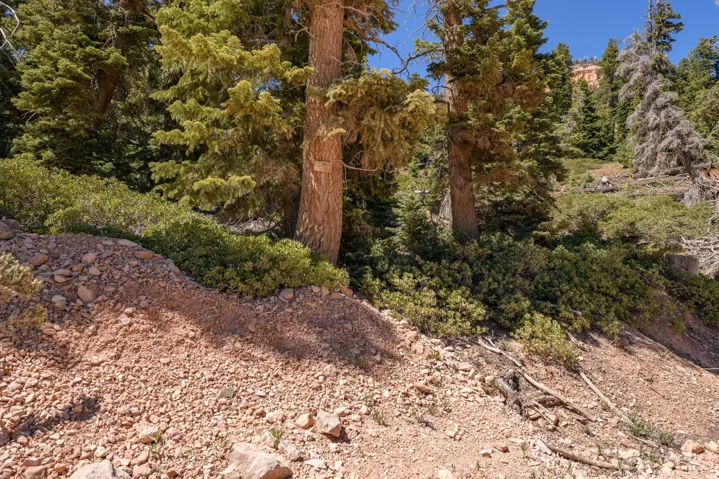 5150 W North Rd, Duck Creek Village, Utah 84762