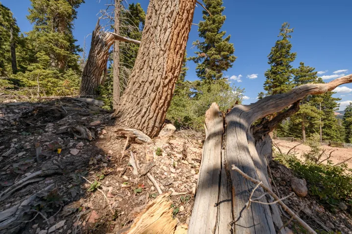 5150 W North Rd, Duck Creek Village, Utah 84762