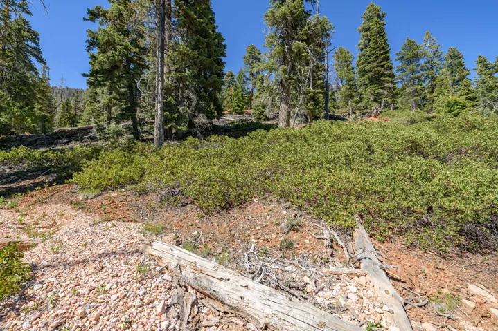 5150 W North Rd, Duck Creek Village, Utah 84762