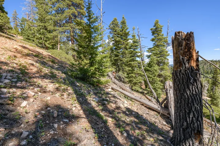 5150 W North Rd, Duck Creek Village, Utah 84762