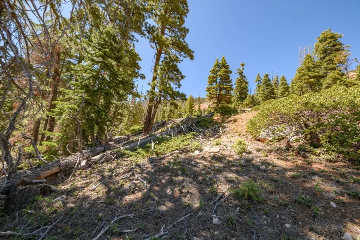 5150 W North Rd, Duck Creek Village, Utah 84762