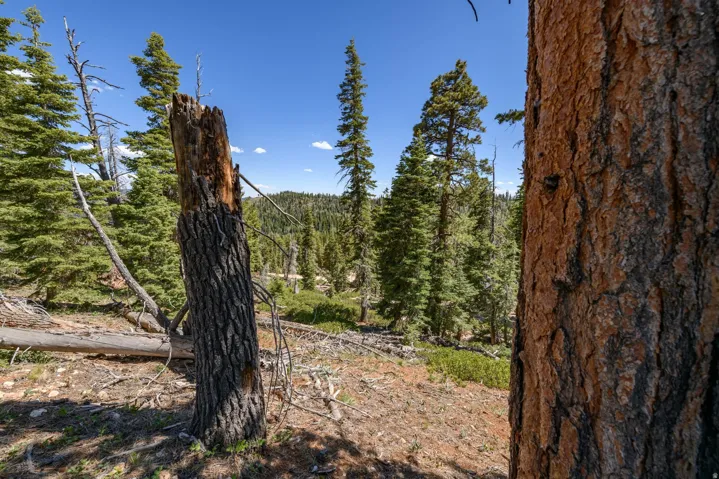 5150 W North Rd, Duck Creek Village, Utah 84762
