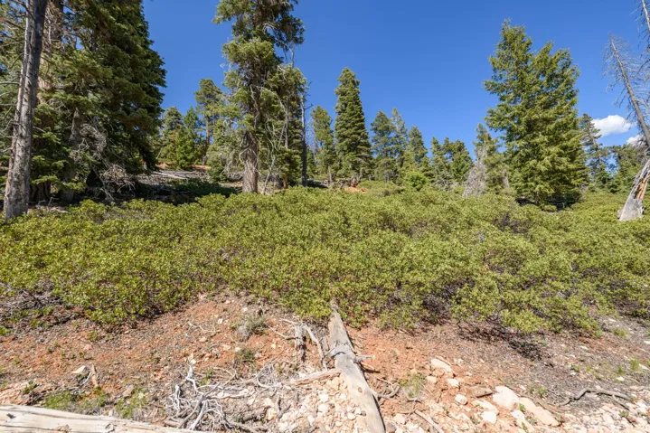 5150 W North Rd, Duck Creek Village, Utah 84762