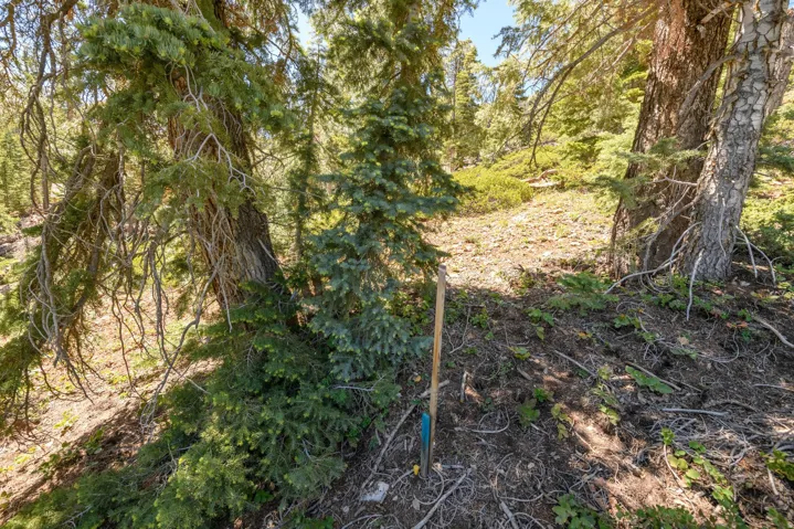 5150 W North Rd, Duck Creek Village, Utah 84762