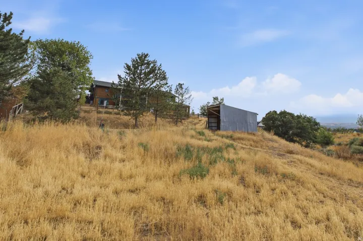 Expansive sloped grounds featuring dry grasses, mature trees, and an auxiliary building with a corrugated metal roof