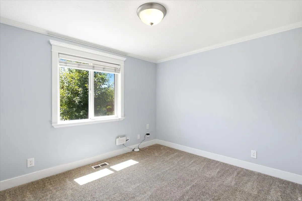 Bright interior room featuring a large window with white trim, light gray walls, plush carpet flooring, and a flush mount ceiling light