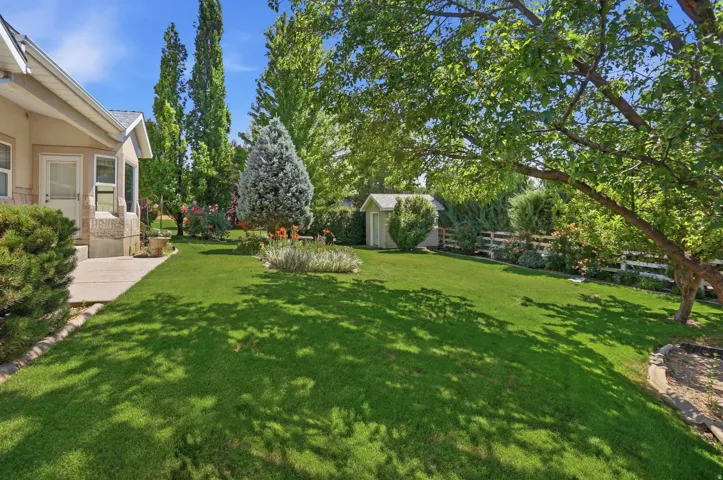 Expansive backyard featuring a lush lawn, mature trees, and established landscaping