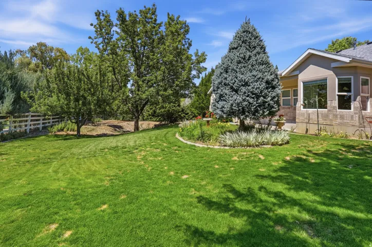 Expansive backyard featuring a lush lawn, mature trees, and a white picket fence