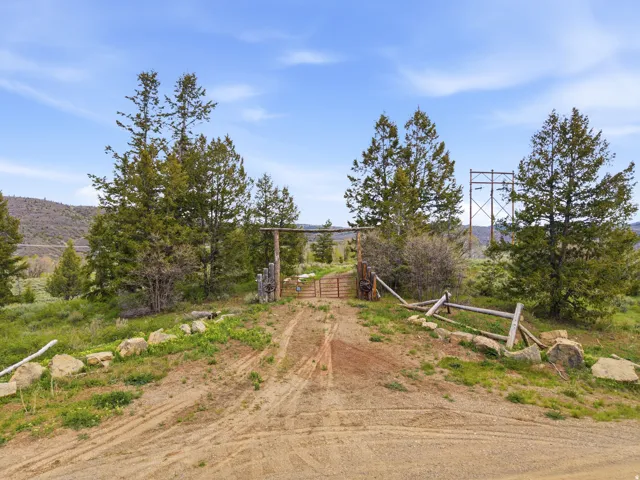 Natural landscape featuring a dirt path, a wooden gate, and numerous evergreen trees