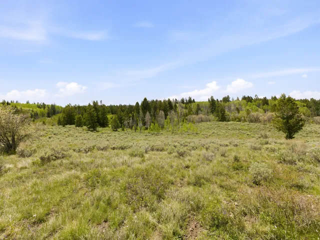 Expansive open land featuring diverse natural vegetation, including low-growing shrubs and varied grasses