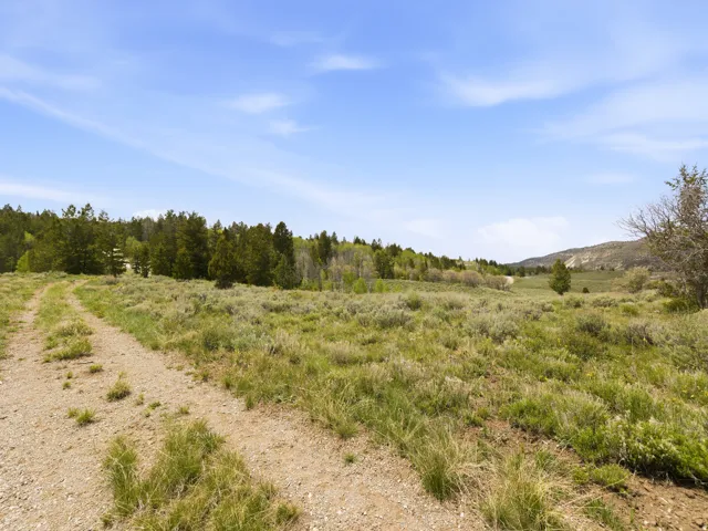 Expansive open terrain featuring a gravel path, varied natural vegetation, and distant forested areas