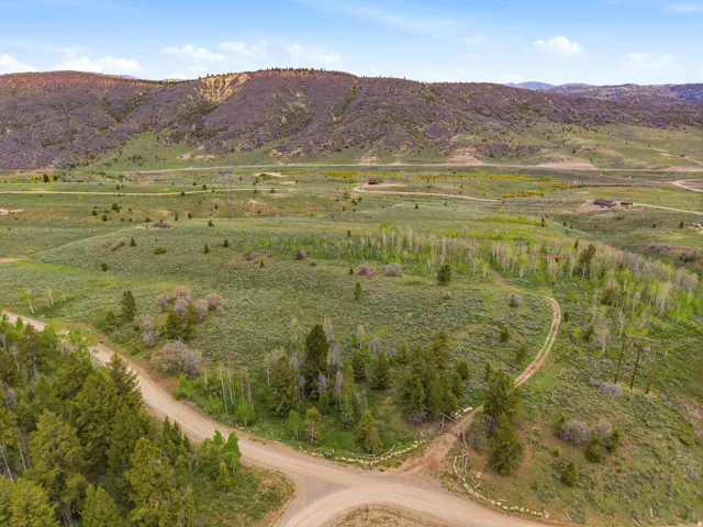 Expansive natural landscape featuring rolling hills and abundant greenery