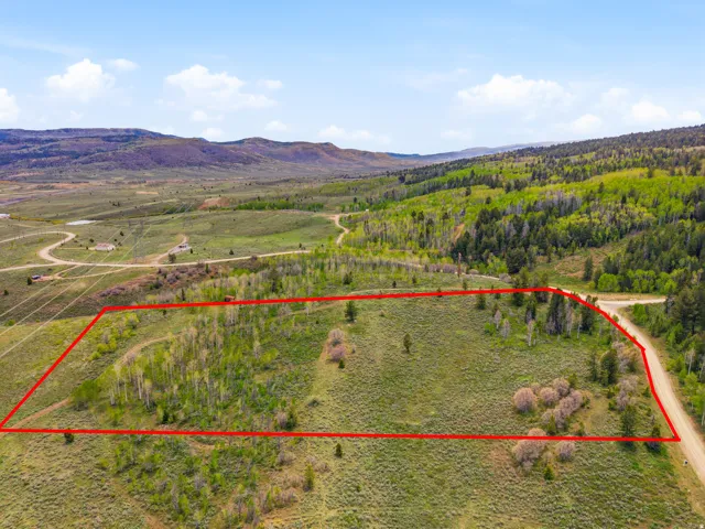 Expansive parcel featuring a mix of open grassland and clusters of deciduous trees