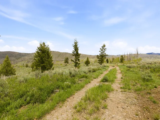 Dirt road traversing a landscape with green grass and scattered evergreen trees