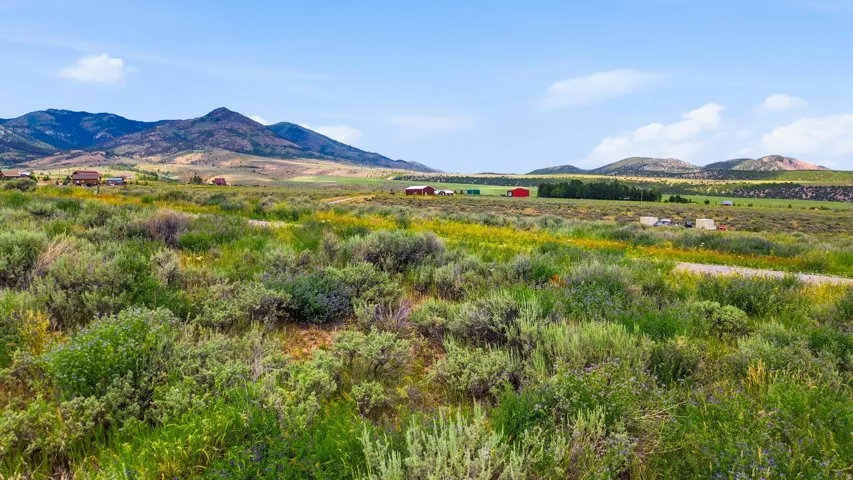 464 E Velvet Rub Rd, Malad City, Idaho 83252