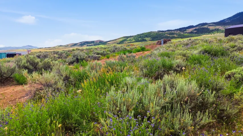 464 E Velvet Rub Rd, Malad City, Idaho 83252