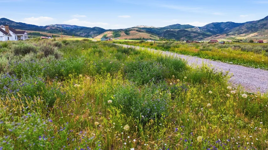464 E Velvet Rub Rd, Malad City, Idaho 83252