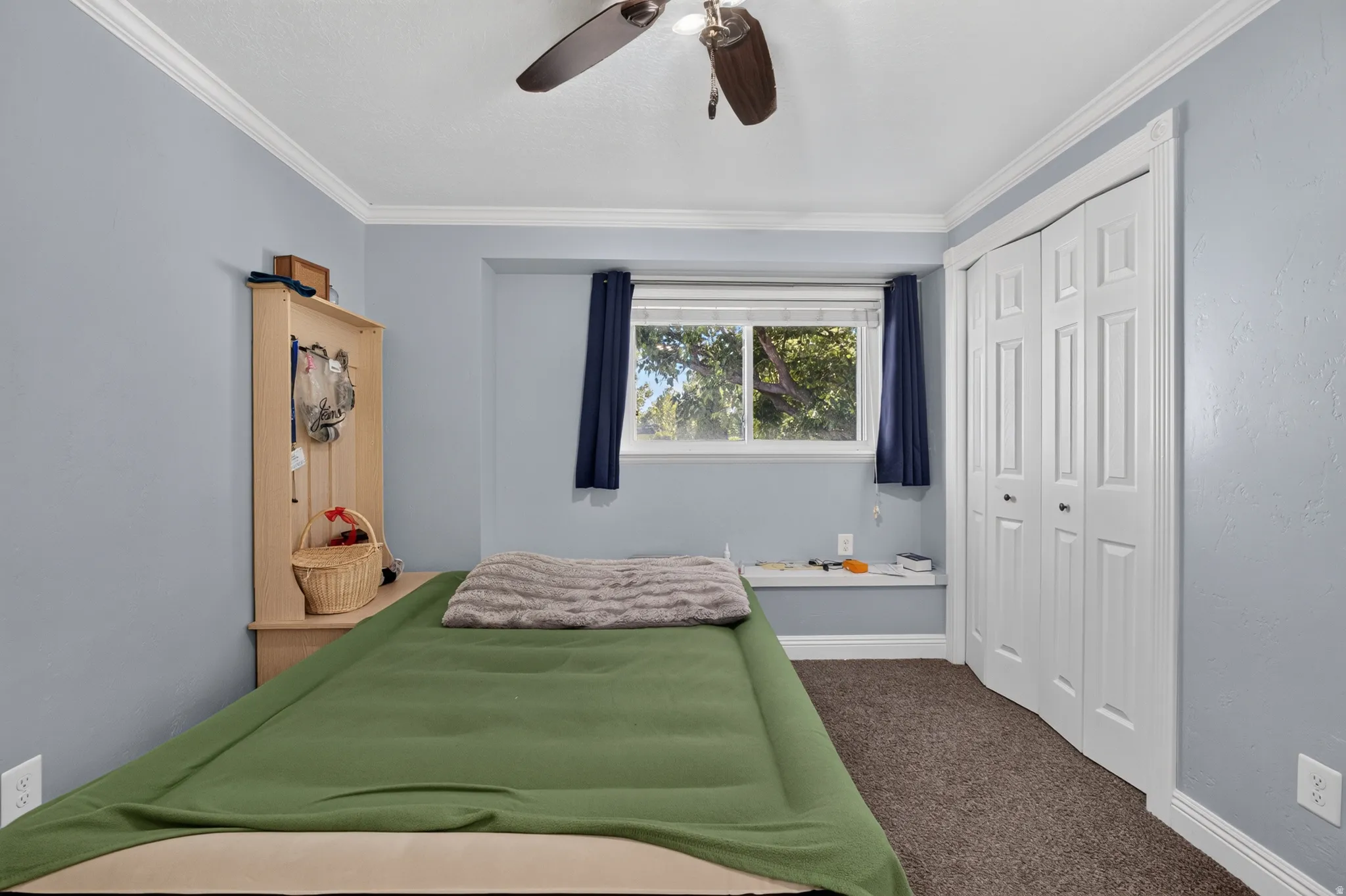 Carpeted room featuring light blue walls and white crown molding