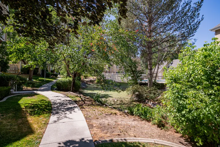 Winding concrete pathway with mature trees and established landscaping