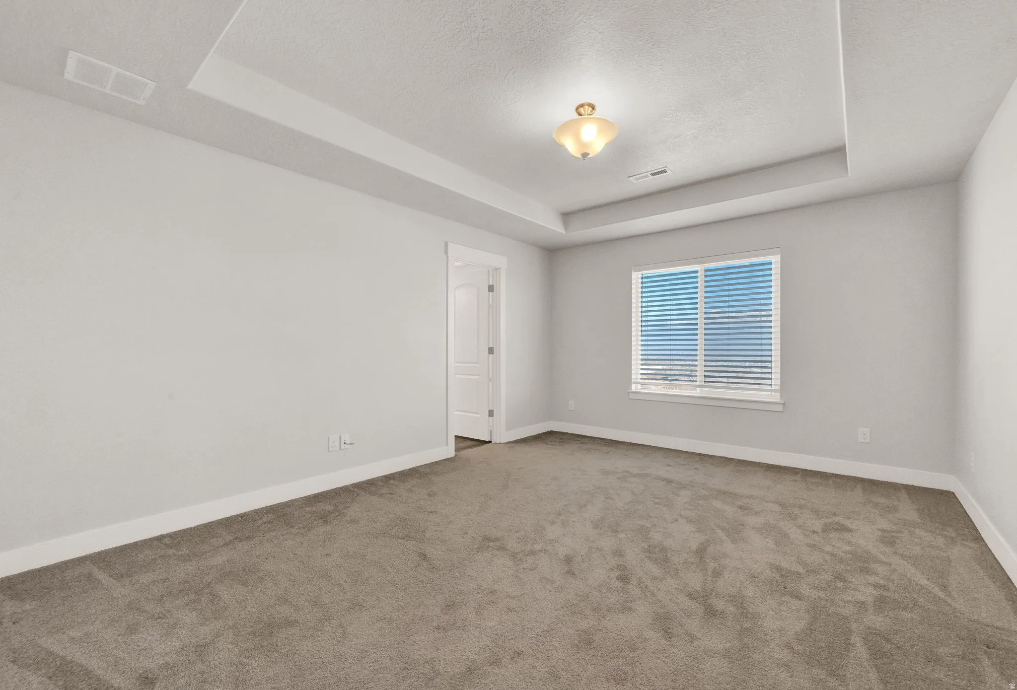 Spacious room featuring neutral carpeting, light gray walls, a tray ceiling with a central fixture, and a large window with horizontal blinds