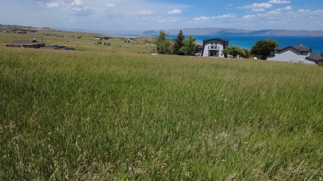 Expansive grassy landscape with distant water and mountain scenery