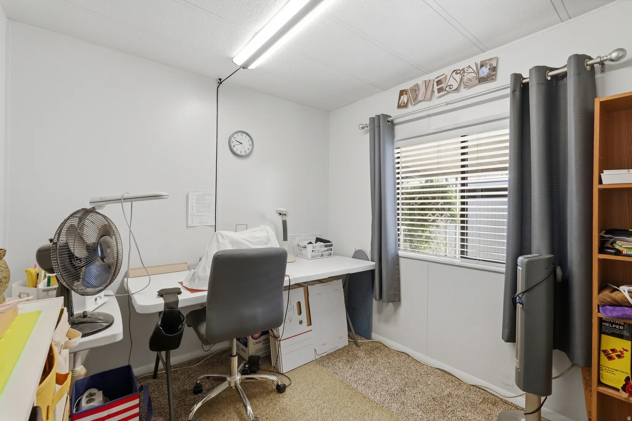 Bright room featuring a window with blinds, wall-to-wall carpeting, and a built-in wood-finish shelving unit