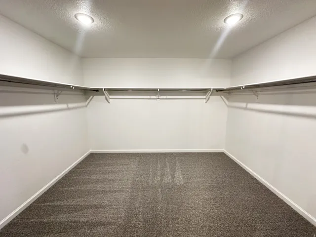Recessed ceiling lighting, textured wall finish, permanent shelving, integrated hanging rods, and patterned carpet flooring
