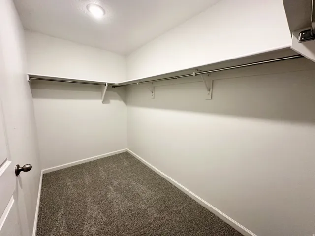 Walk-in closet featuring carpet flooring, built-in shelving, and hanging rods