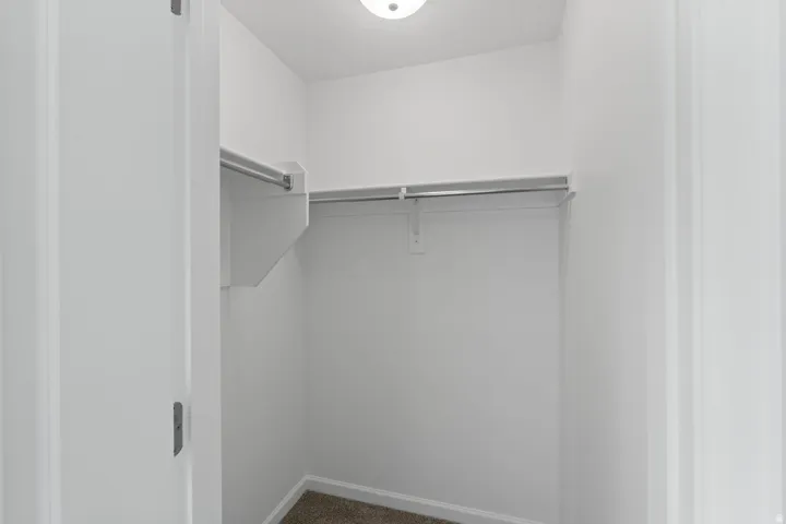 Built-in closet shelving with integrated hanging rods, recessed ceiling light fixture, and neutral carpeting