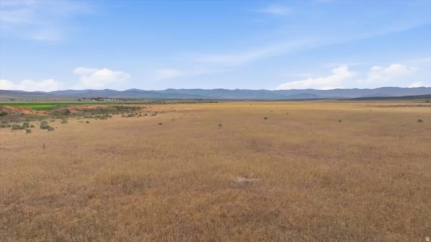Expansive open land with natural grass, distant mountain range, and clear blue sky