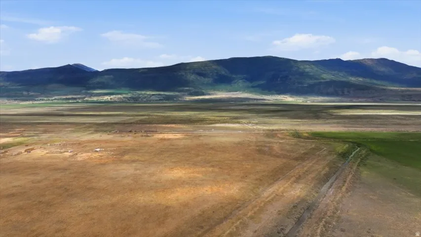 Expansive open land with varied natural ground cover and distant mountains under a blue sky