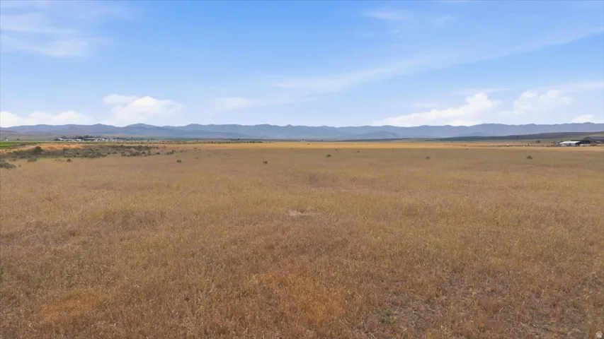 Expansive land parcel featuring natural golden grasses and distant mountain ranges under a clear sky