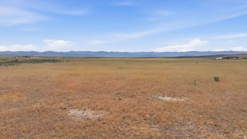 Expansive open land with natural grasses, featuring a distant mountain range backdrop