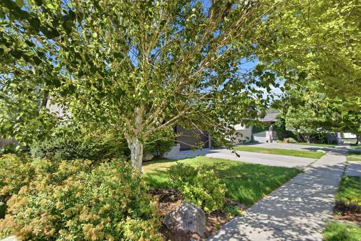 Mature deciduous trees provide shade and natural landscaping