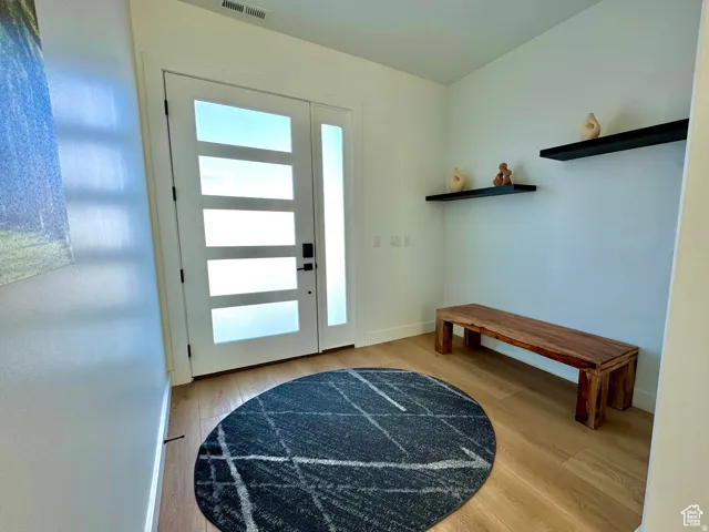 Entryway featuring light wood-finish flooring, a contemporary door with frosted glass panels, an adjacent frosted sidelight, and two black floating wall shelves