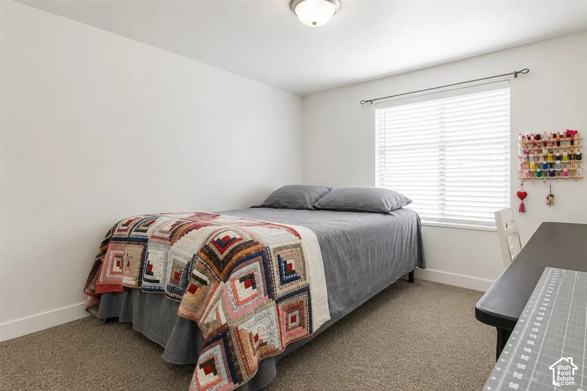 Carpeted room featuring a window with white blinds and a built-in light fixture