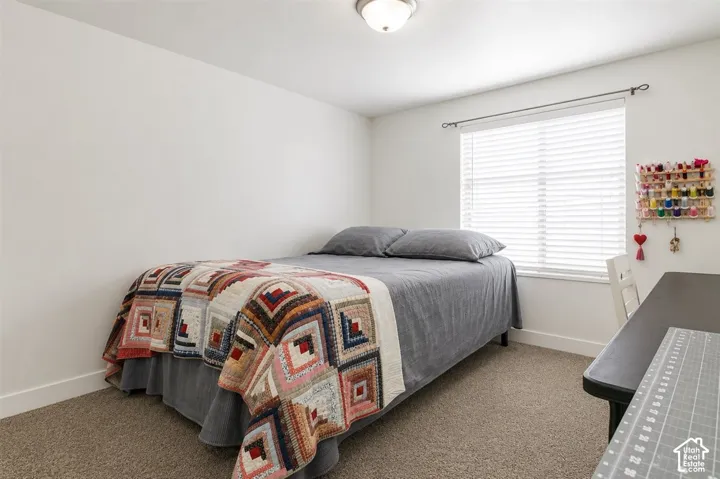 Carpeted room featuring a window with white blinds and a built-in light fixture