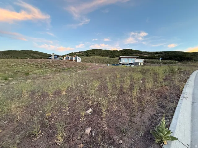 Expansive hillside lot featuring a paved border and natural vegetation