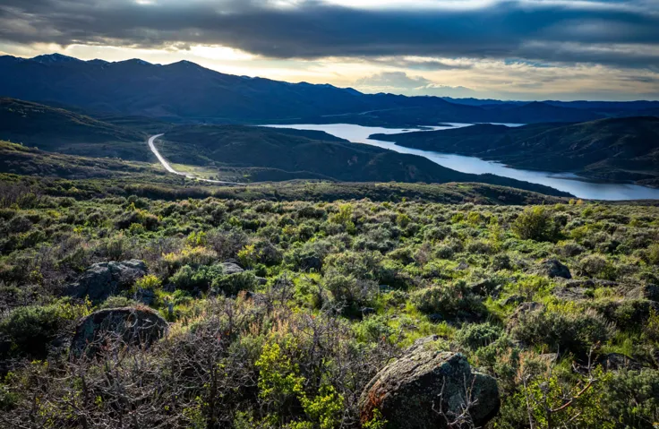 Expansive natural landscape featuring rolling hills and distant mountains