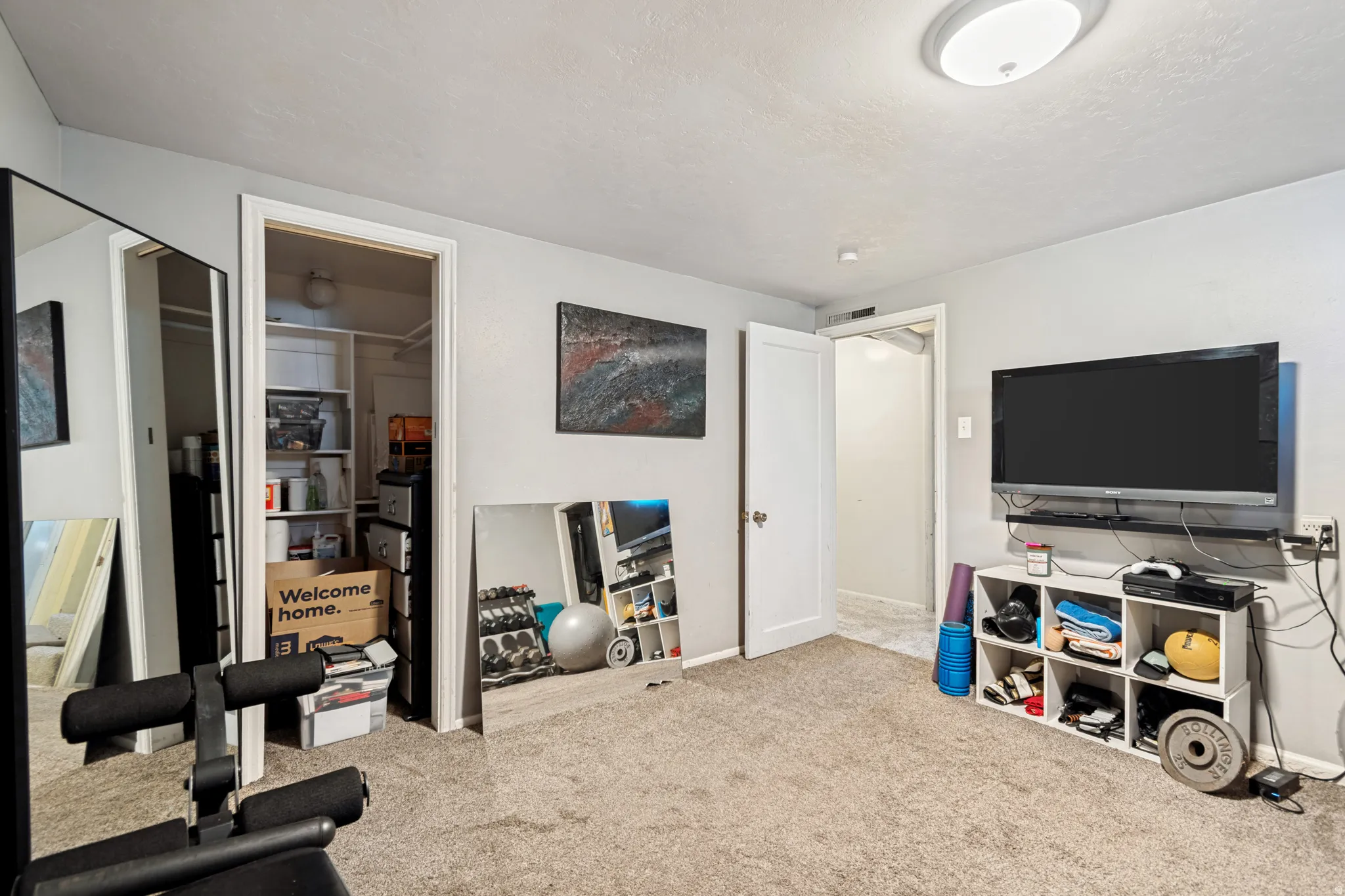 Carpeted Bedroom