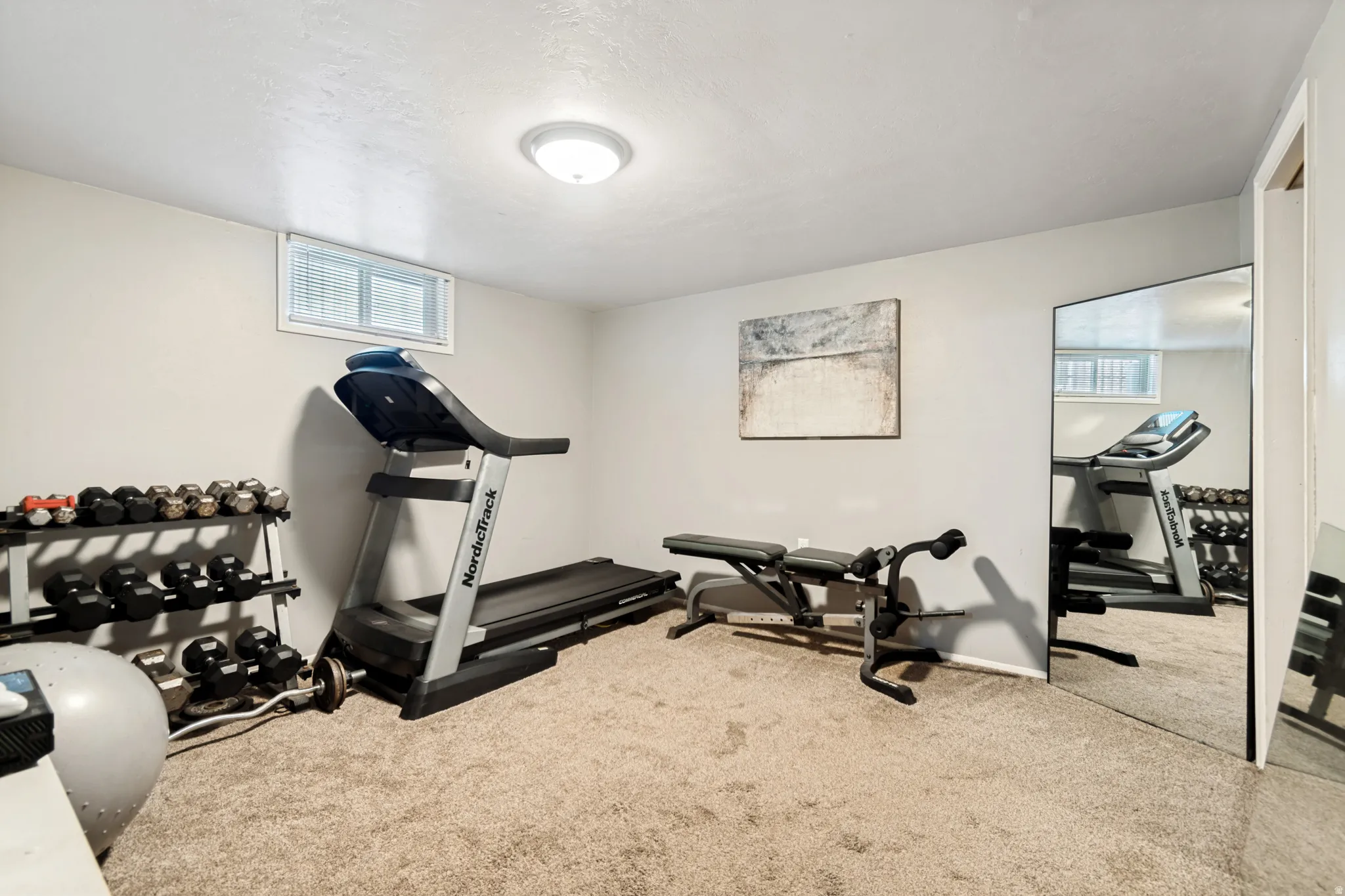 Versatile bedroom featuring carpeted flooring and light gray painted walls