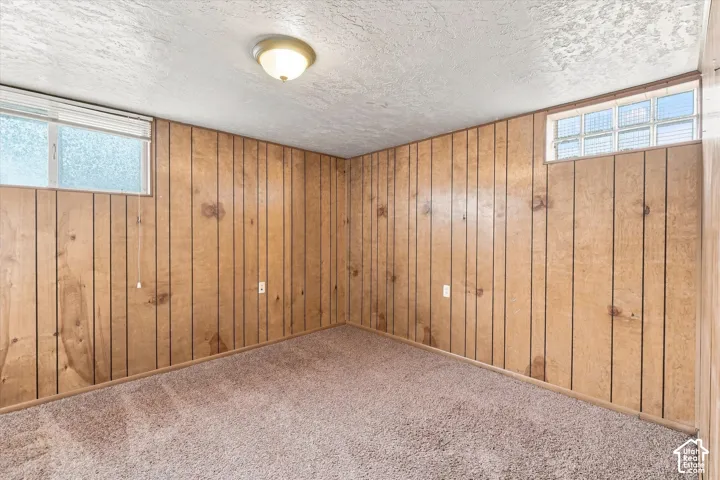 Carpeted flooring, paneled wall finishes, and a flush mount ceiling light fixture