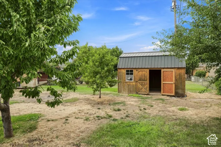 Backyard featuring a wooden shed with a metal roof, a single window, and double barn doors