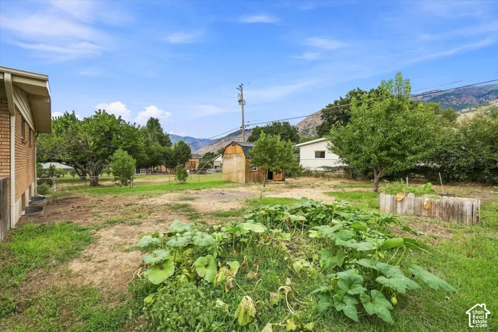 Expansive backyard featuring mature trees, a garden bed, and a storage shed